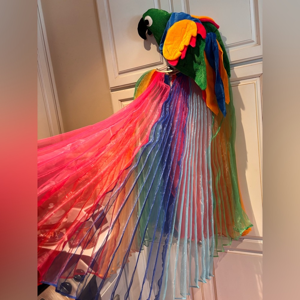 Vibrant Multicolor Pleated Cape Smock by Smak Parlour size M with Parrot Hat